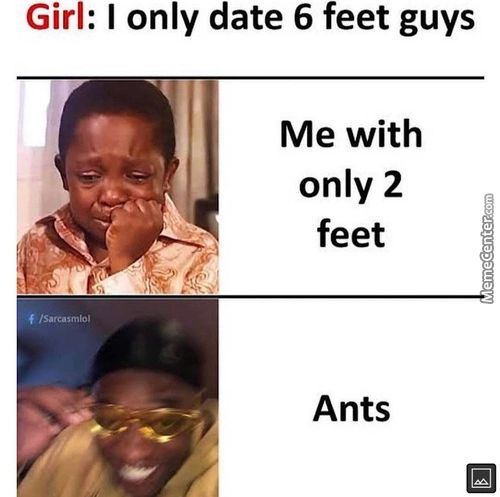 Girl: I Only Date 6 Feet Guys
Me With
Only 2
Feet
Ants

