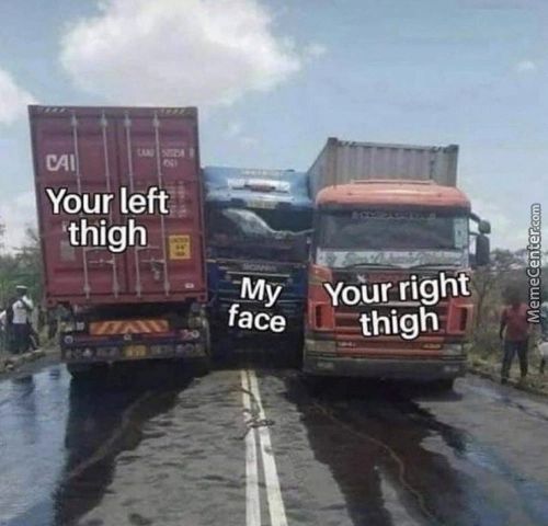 Your Left)
Thigh
Face
M Thigh
