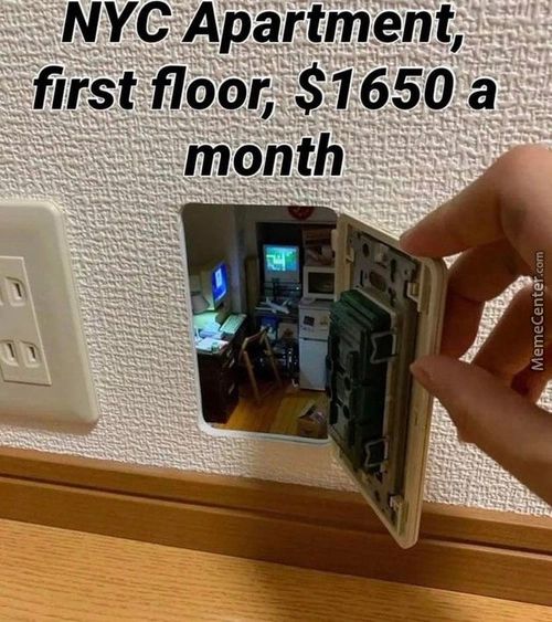 NYC Apartment,
First Floor, $1650 .a
Month
