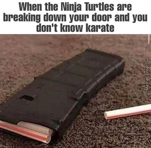 When The Ninja Turtles Are
Breaking Down Your Door And You
Don't Know Karate
