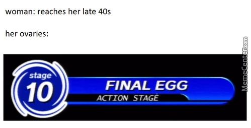 Woman: Reaches Her Late 40s
Her Ovaries:
10
FINAL EGG
ACTION STAGE
