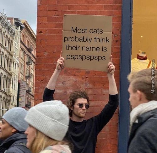 Most Cats
Probably Think
Their Name Is
Pspspspsps
