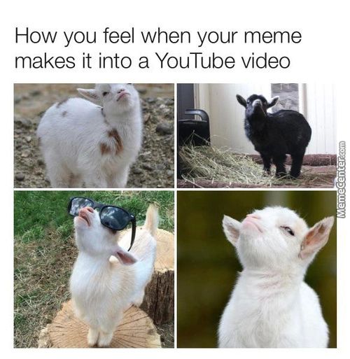 How You Feel When Your Meme
Makes It Into A YouTube Video

