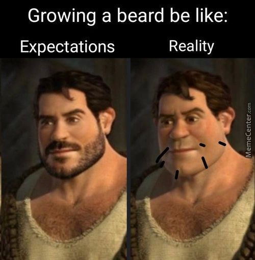 Growing A Beard Be Like:
Reality
Expectations
