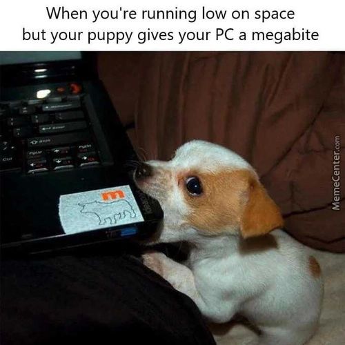 When You're Running Low On Space
But Your Puppy Gives Your PC A Megabite
