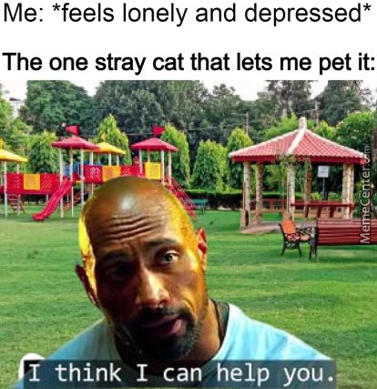 Me: *feels Lonely And Depressed*
The One Stray Cat That Lets Me Pet It:
I Think I Can Help You.e: 
