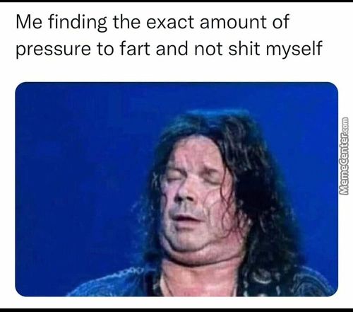 Me Finding The Exact Amount Of
Pressure To Fart And Not Shit Myself
