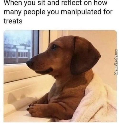 When You Sit And Reflect On How
Many People You Manipulated For
Treats
