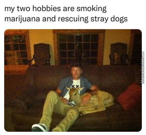 My Two Hobbies Are Smoking
Marijuana And Rescuing Stray Dogs
