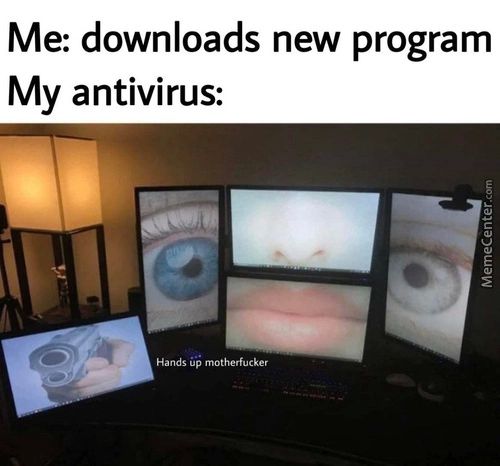 Me: Downloads New Program
My Antivirus:
Hands Motherfucker
