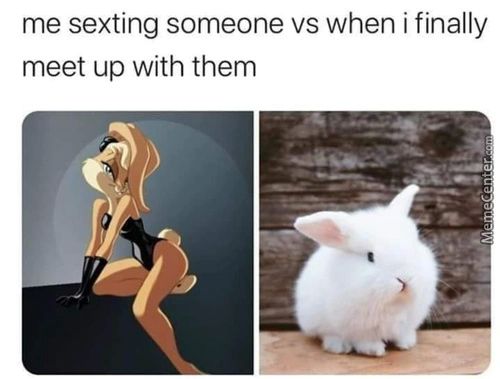 Me Sexting Someone Vs When I Finally
Meet Up With Them
