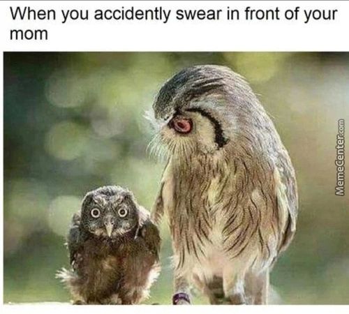 When You Accidently Swear In Front Of Your
Mom
