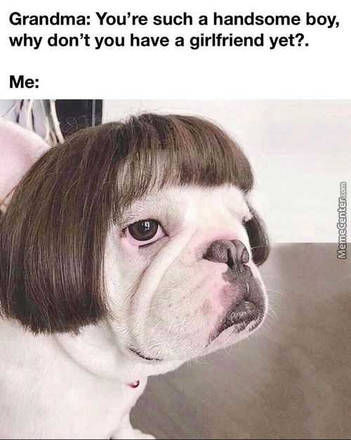 Grandma: You're Such A Handsome Boy,
Why Don't You Have A Girlfriend Yet?.
Me:

