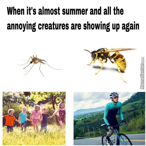 When It's Almost Summer And All The
Annoying Creatures Are Showing Up Again
