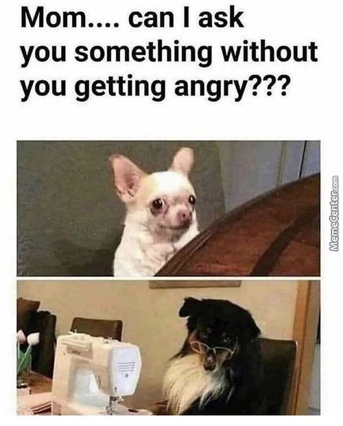 Mom.... Can I Ask
You Something Without
You Getting Angry???
