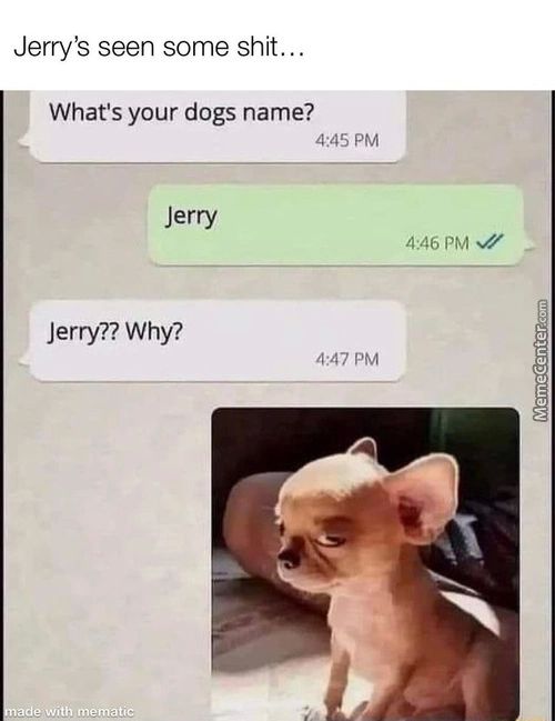 Jerry's Seen Some Shit. ..
What's Your Dogs Name?
4:45 PM
Jerry
4:46 PM •7
Jerry?? Why?
4:47 PM
