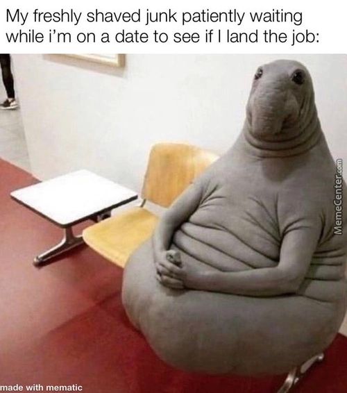 My Freshly Shaved Junk Patiently Waiting
While I'm On A Date To See If I Land The Job:
Made With Mematic
