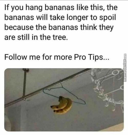 If You Hang Bananas Like This, The
Bananas Will Take Longer To Spoil
Because The Bananas Think They
Are Still In The Tree.
Follow Me For More Pro Tips...
