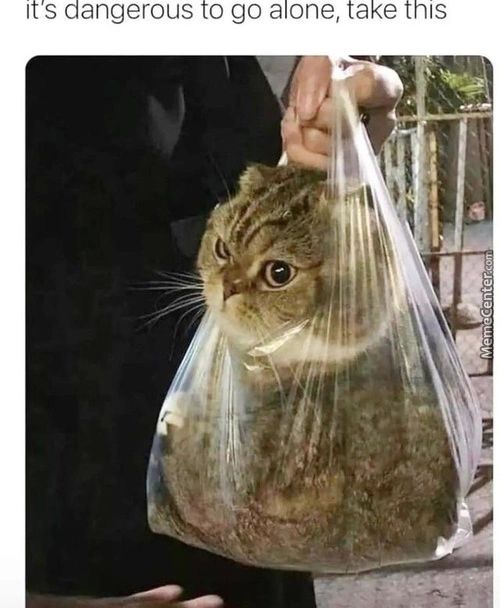 It's Dangerous To Go Alone, Take This
