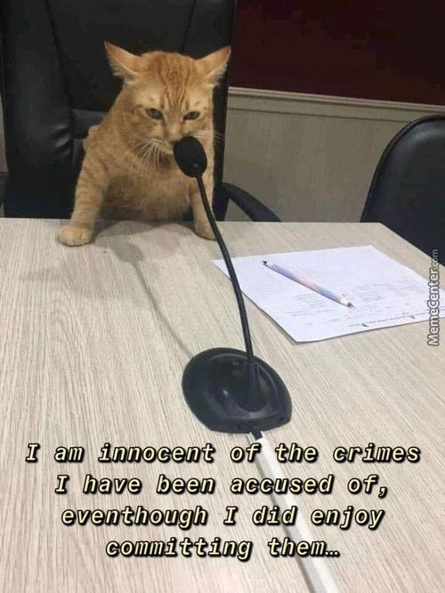 I Anl Innocent Of The C 4' I Ines
Been
Even Though I Clid Enjoy
T Ting Thenl...
