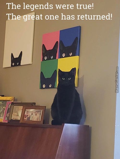 The Legends Were True!
R At One Has Returned!
