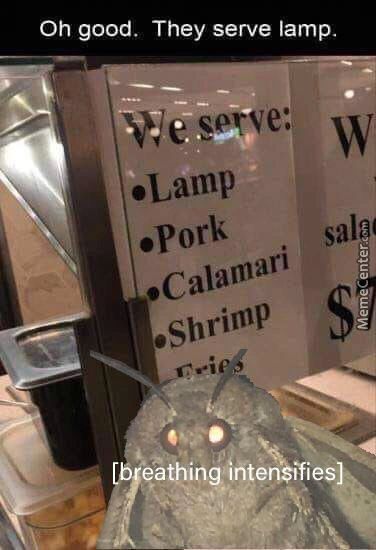 Oh Good. They Serve Lamp.
'Lamp
'York
Calafltari
ESbrin1P
AeathingGhtenSffies
