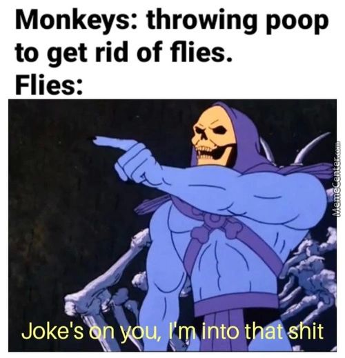 Monkeys: Throwing Poop
To Get Rid Of Flies.
Flies:
Joke's
Ru Int04
