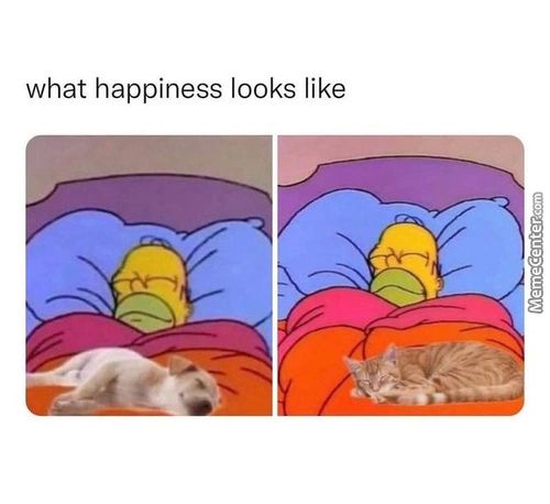 What Happiness Looks Like
