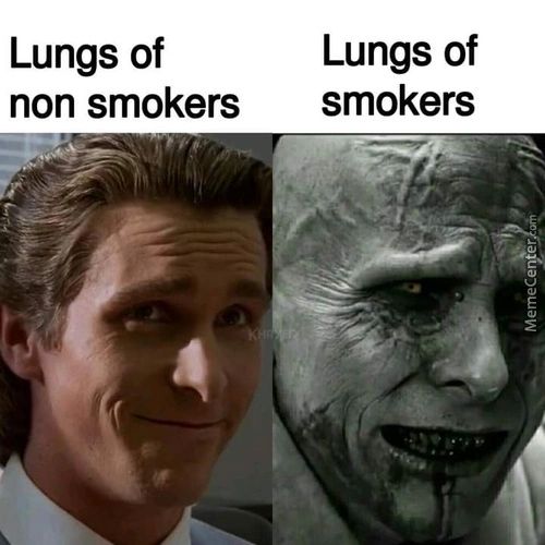 Lungs Of
Non Smokers
Lungs Of
Smokers
