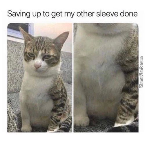 Saving Up To Get My Other Sleeve Done
