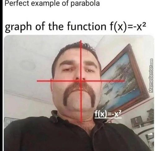 Perfect Example Of Parabola
Graph Of The Function F(x)=-x2
