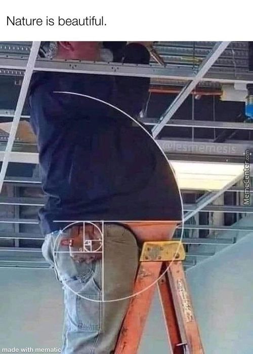 Nature Is Beautiful.
Made With Mematiq
