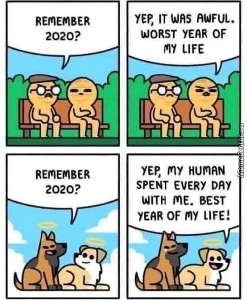 REPIEMBER
2020?
REmEmBER
2020?
YEP, IT Was RUFUL.
WORST YEAR OF
My LIFE
YEP, My HUP'IRN
SPENT EVERY DRY
WITH ME. BEST
YEAR OF My LIFE!
