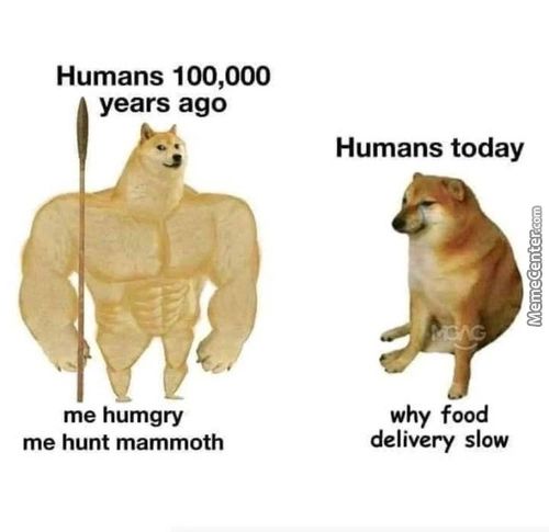 Humans 100,000
Years Ago
Me Humgry
Me Hunt Mammoth
Humans Today
Why Food
Delivery Slow
