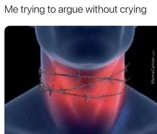 Me Trying To Argue Without Crying
