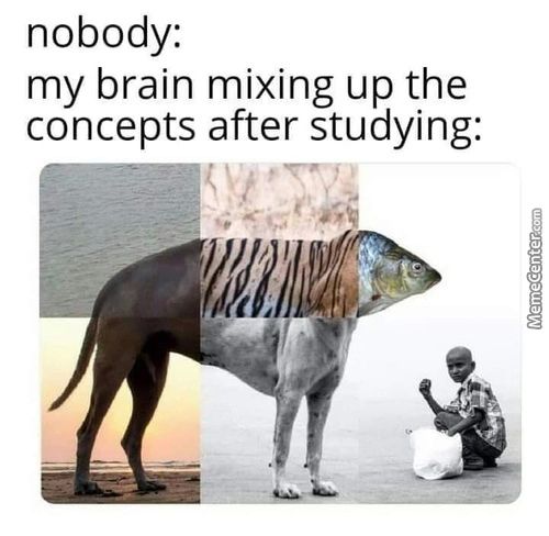 Nobody:
My Brain Mixing Up The
Concepts After Studying:
