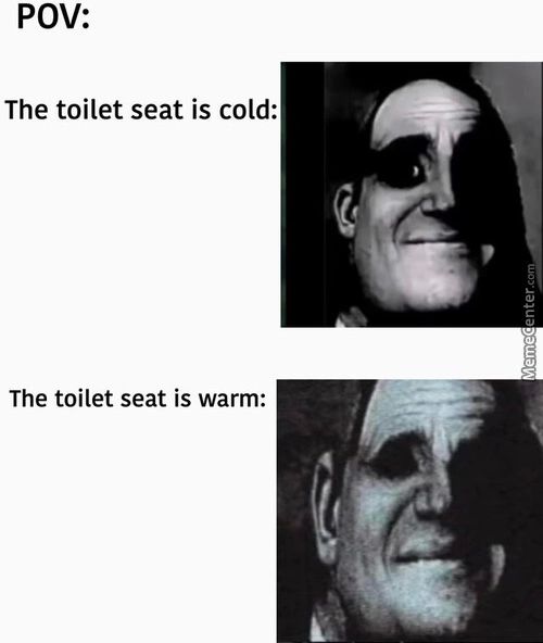 POV:
The Toilet Seat Is Cold:
The Toilet Seat Is Warm:
