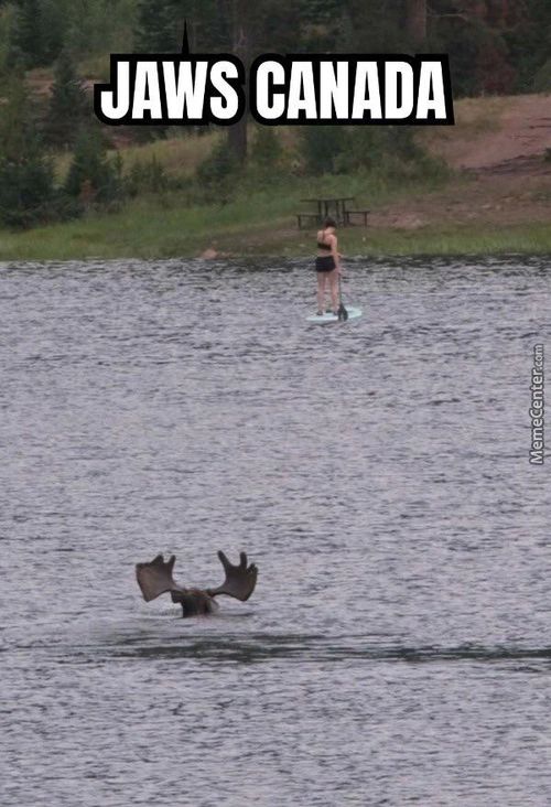 JAWS CANADA

