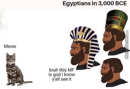 Egyptians In 3,000 BCE
Meow
Bruh This MF
Is God I Know
Yall See It
