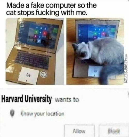 Made A Fake Computer So The
Cat Stops Fucking With Me.
Harvard University
Wants To
Know Your Loaton
