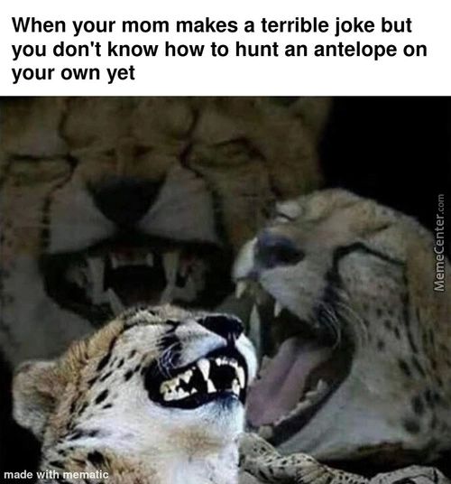 When Your Mom Makes A Terrible Joke But
You Don't Know How To Hunt An Antelope On
Your Own Yet

