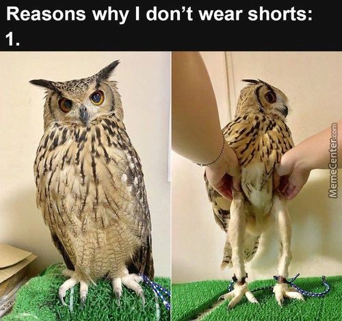 Reasons Why I Don't Wear Shorts:
