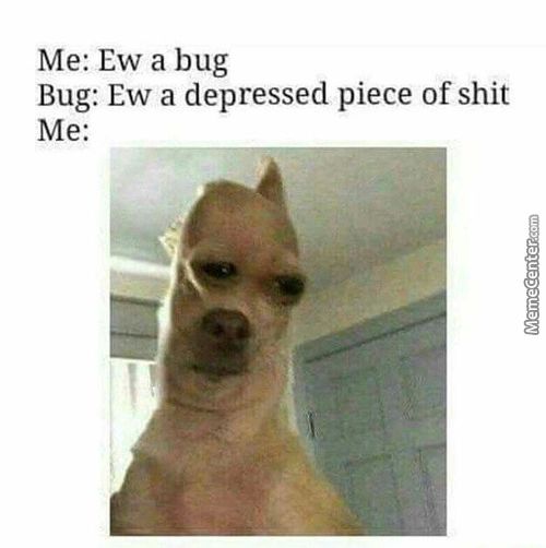 Me: Ew A Bug
Bug: Ew A Depressed Piece Of Shit
Me:
