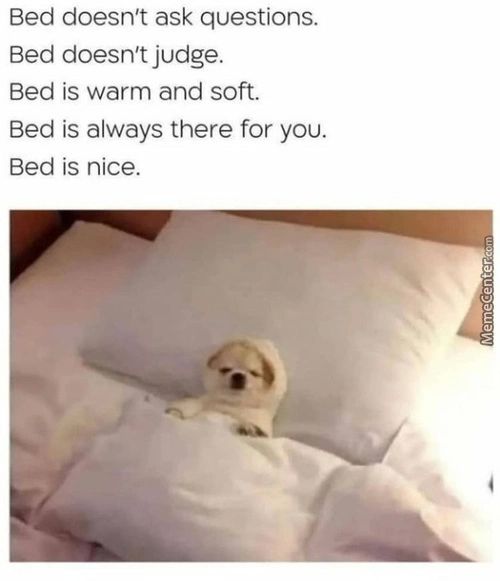 Bed Doesn't Ask Questions.
Bed Doesn't Judge.
Bed Is Warm And Soft.
Bed Is Always There For You.
Bed Is Nice.
