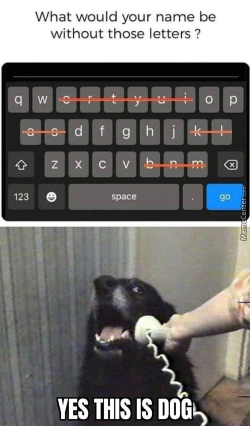 What Would Your Name Be
Without Those Letters ?
0
123
E
Space
YES THIS IS DOGS
Go
