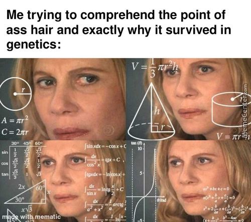 Me Trying To Comprehend The Point Of
Ass Hair And Exactly Why It Survived In
Genetics:
With
Mematic
