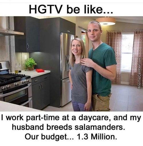 HGTV Be Like...
I Work Part-time At A Daycare, And My
Husband Breeds Salamanders.
Our Budget... 1.3 Million.
