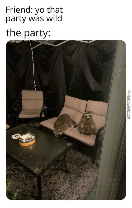 Friend: Yo That
Party Was Wild
The Party:
