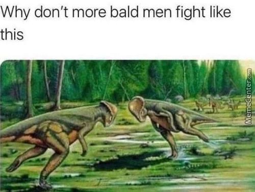 Why Don't More Bald Men Fight Like
This
