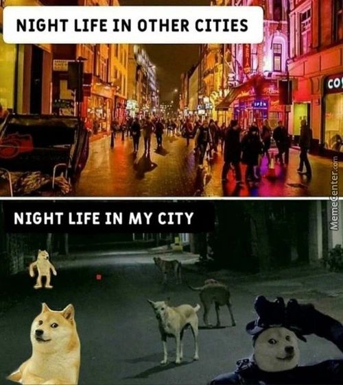 NIGHT LIFE IN OTHER CITIES
NIGHT LIFE IN MY CITY
